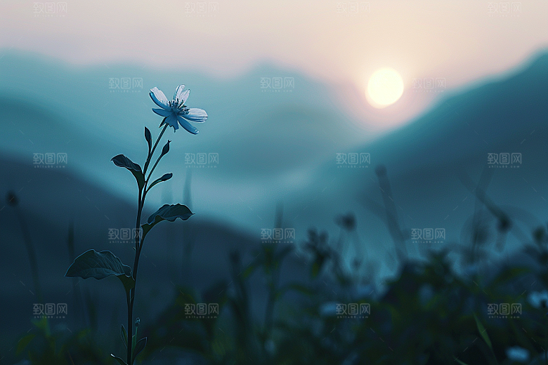 落日风光美景户外素材