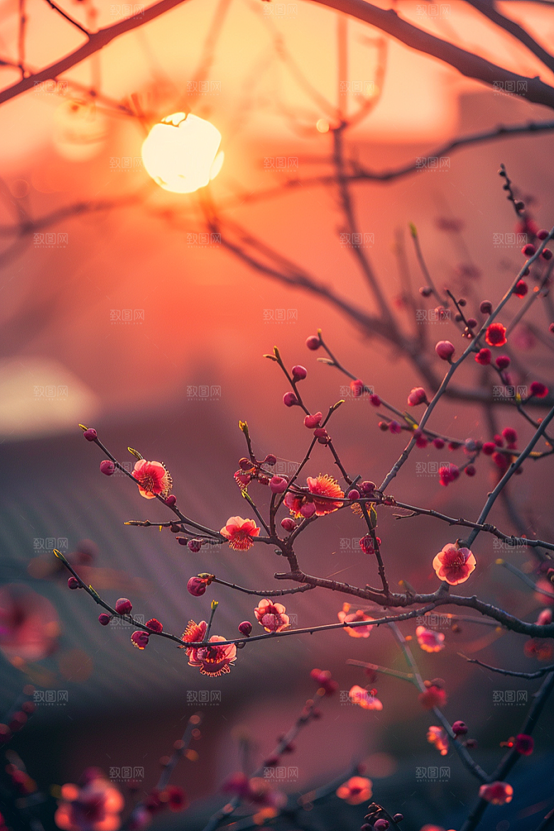 落日风光自然高清素材