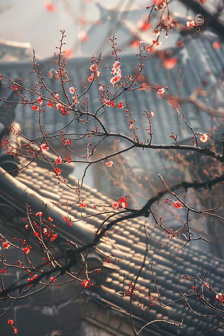 落日风光美景景色素材