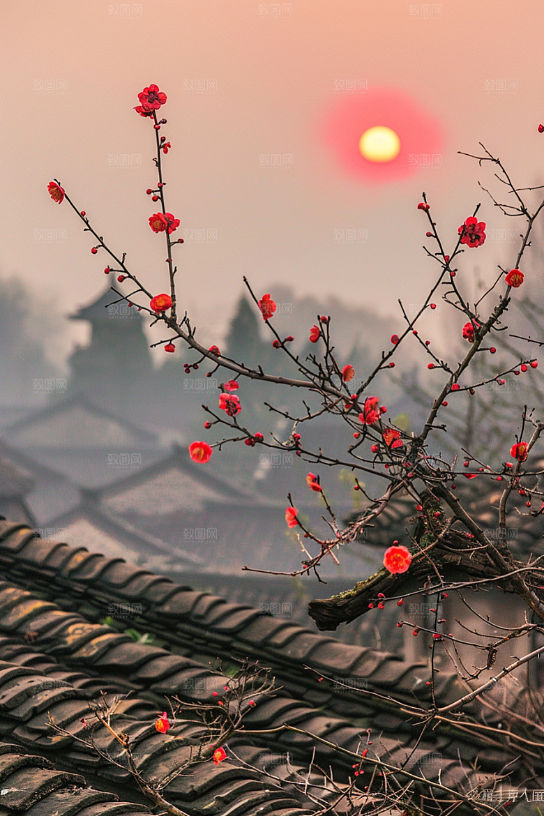 落日风光风景户外素材