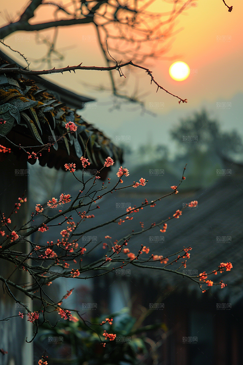 落日风光余晖景色素材