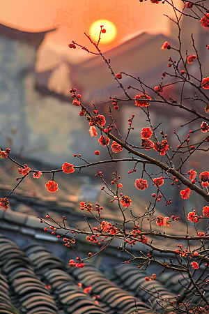 落日风光风景景色素材