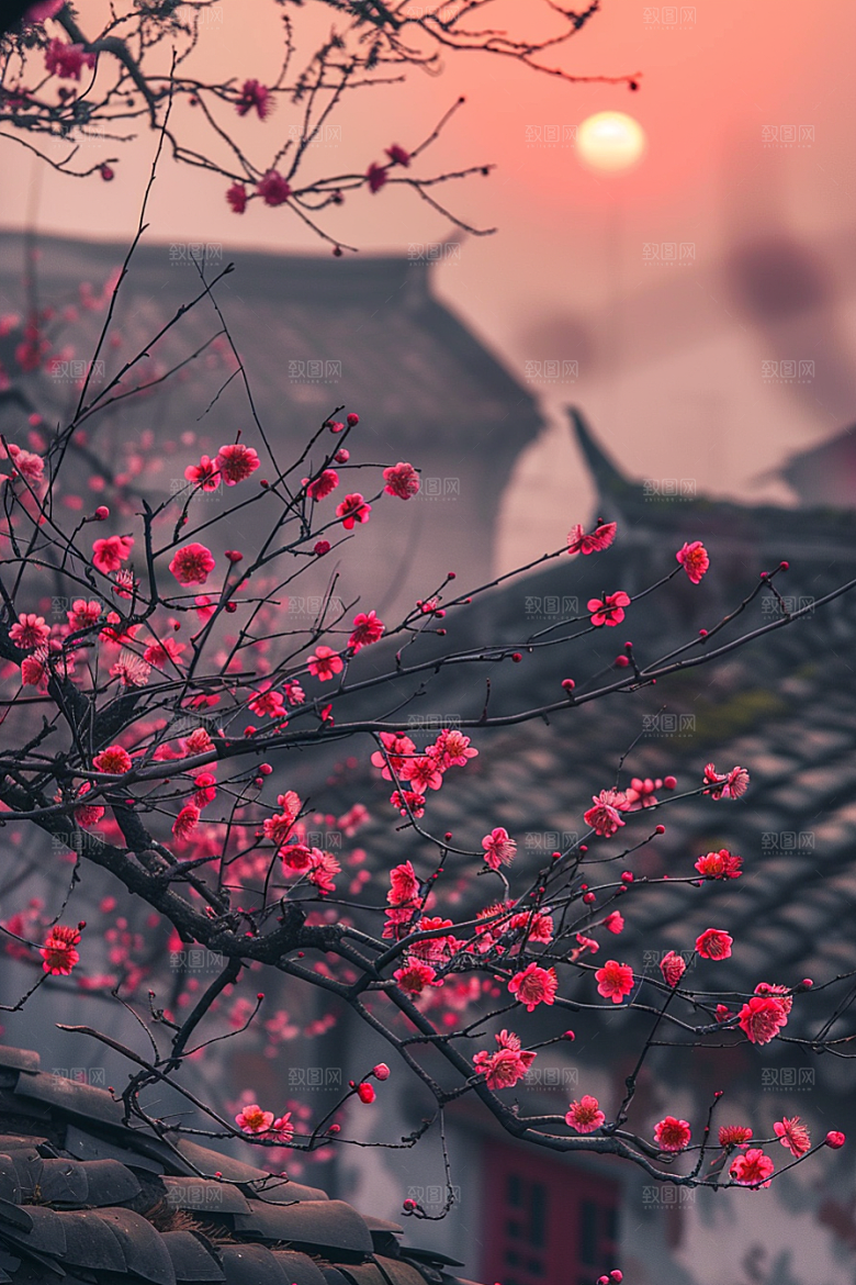 落日风光风景自然素材