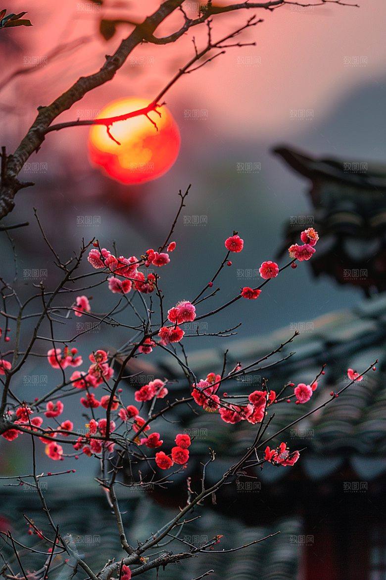 落日风光夕阳自然素材