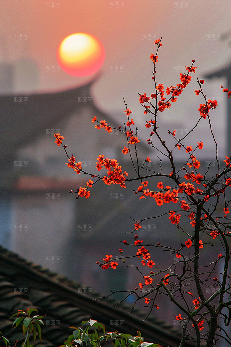 落日风光自然夕阳素材