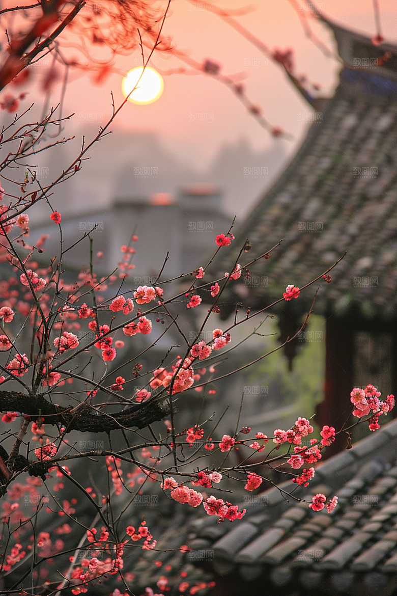 落日风光夕阳傍晚素材