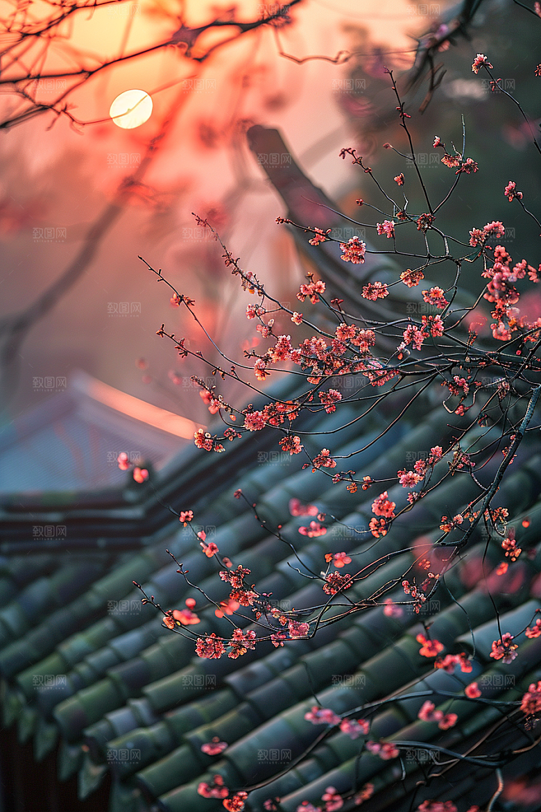 落日风光自然夕阳素材