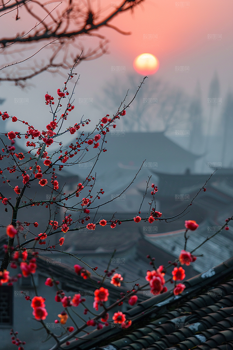 落日风光高清风景素材