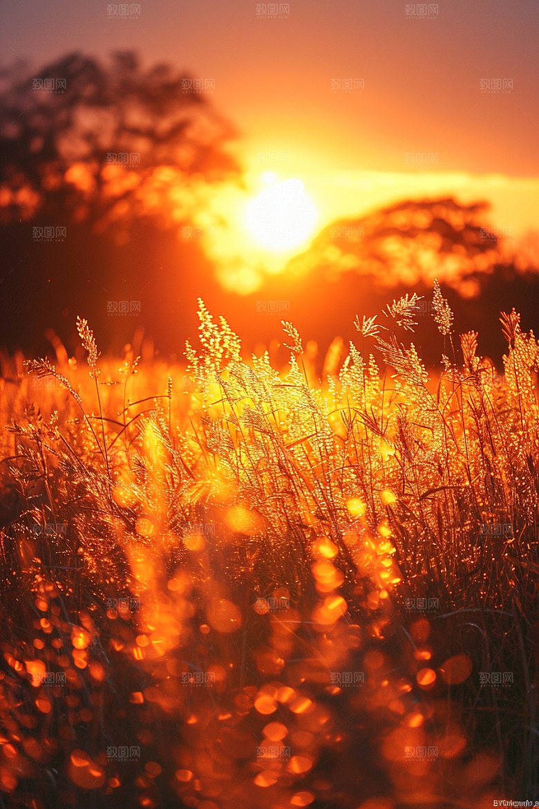 落日风光自然夕阳素材