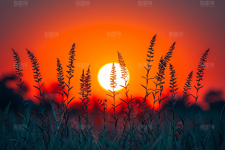 落日风光风景夕阳素材