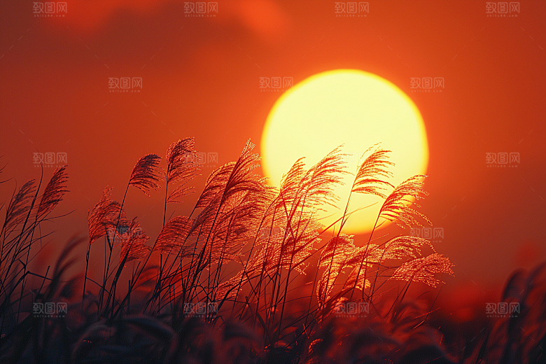 落日风光景色晚霞素材