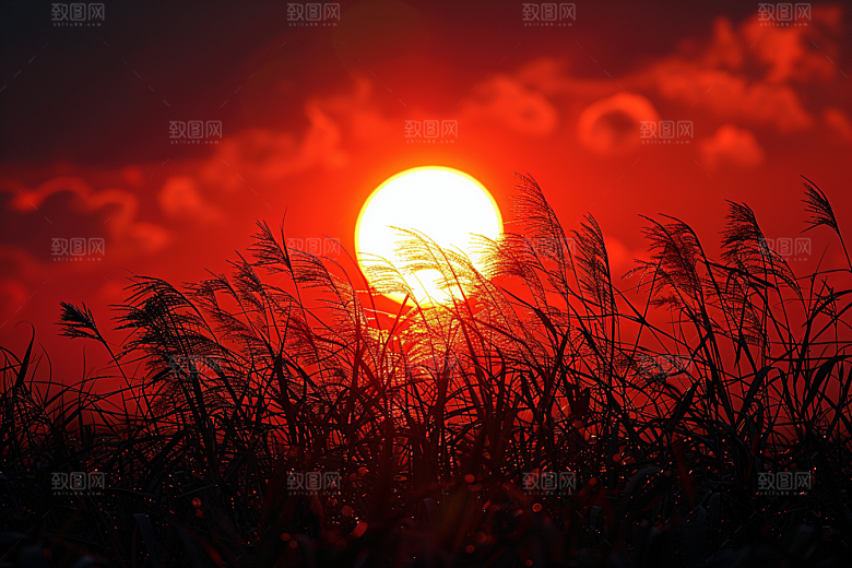 落日风光景色户外素材