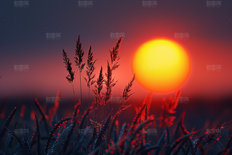 落日风光景色晚霞素材