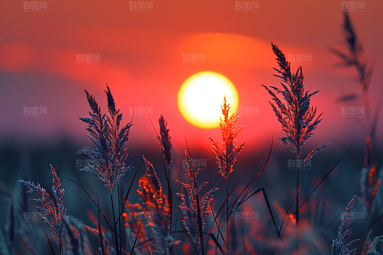 落日风光风景美景素材