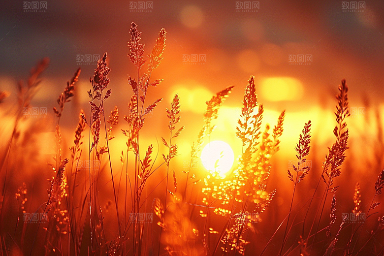 落日风光高清景色素材