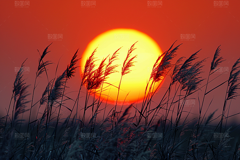 落日风光高清景色素材