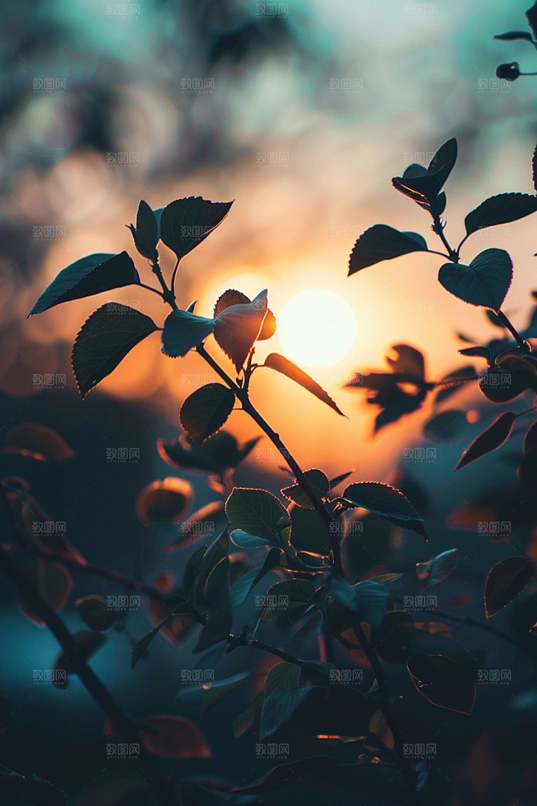 落日风光晚霞夕阳素材