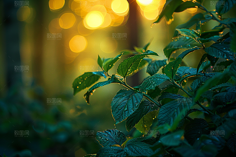 落日风光夕阳傍晚素材