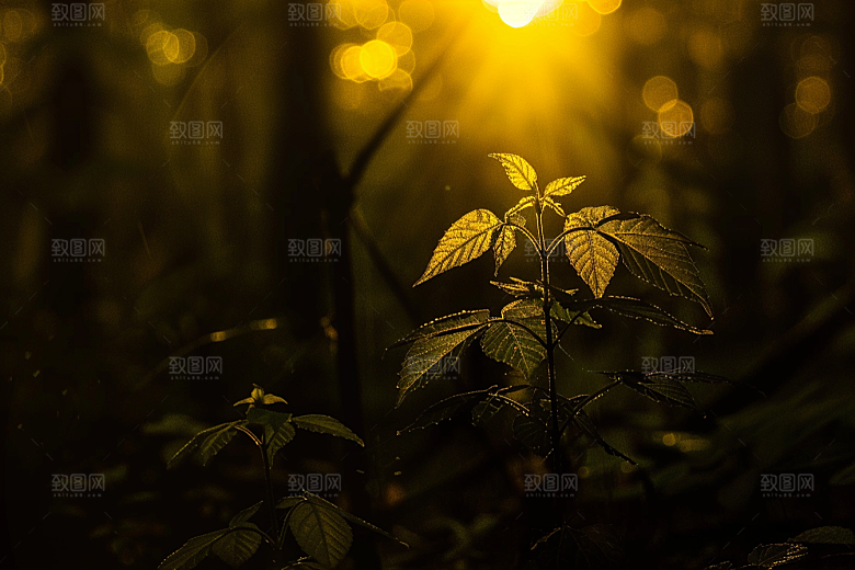 落日风光景色余晖素材