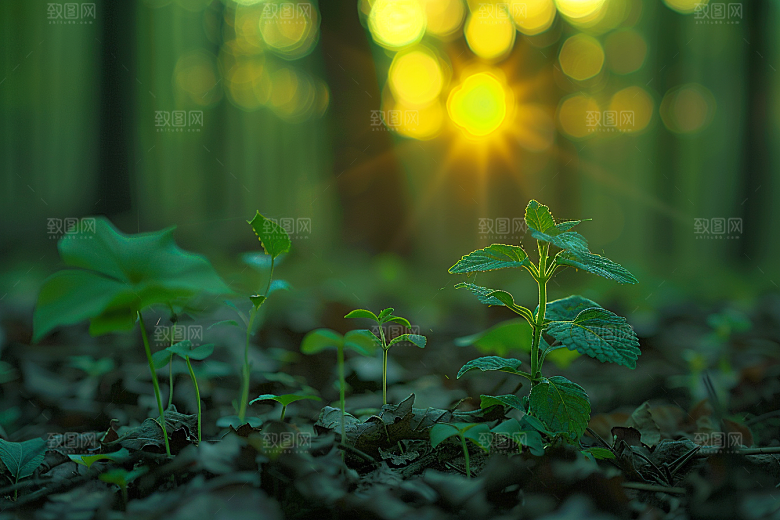 落日风光景色余晖素材