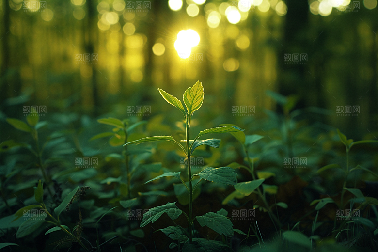 落日风光美景晚霞素材