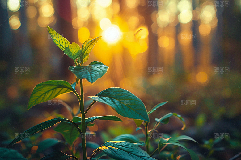 落日风光美景夕阳素材