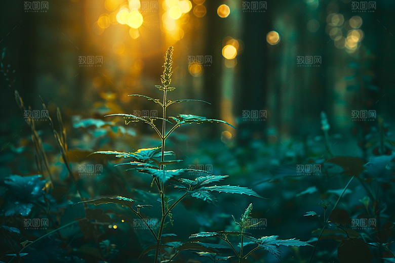 落日风光风景景色素材