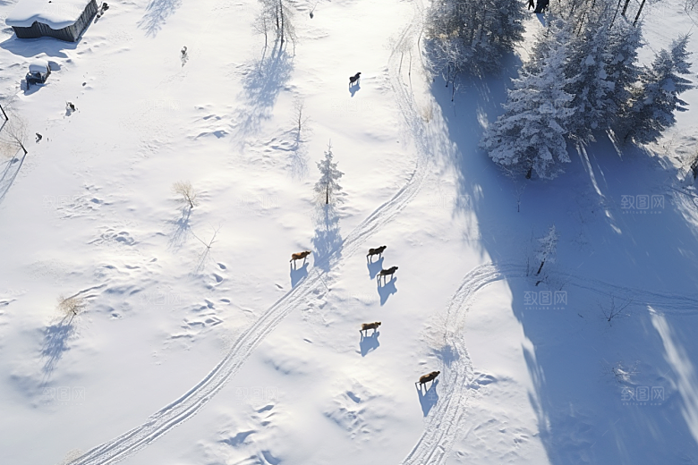 东北雪乡大雪雪景素材