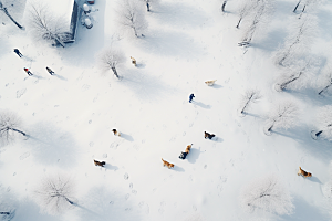 东北雪乡北方雪景素材