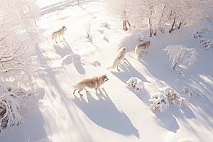 东北雪乡高清旅游素材