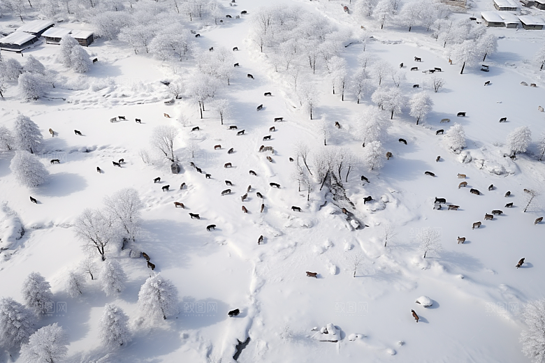 东北雪乡景区风光素材