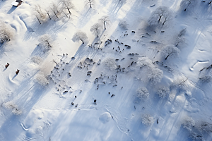 东北雪乡雪景高清素材