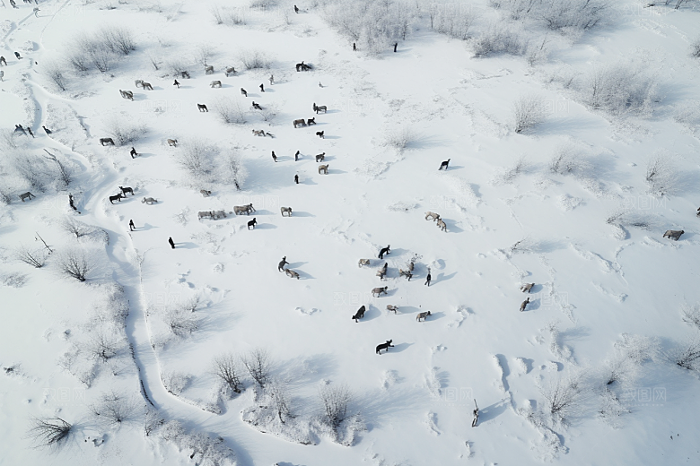 东北雪乡大雪风光素材