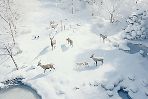 东北雪乡景区高清素材