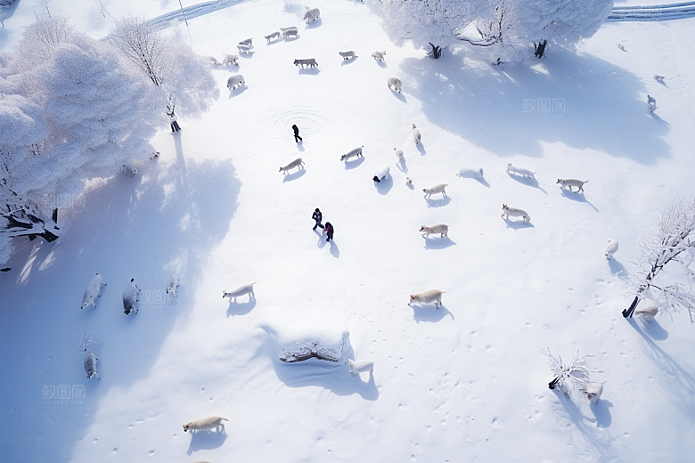 东北雪乡旅游雪景素材