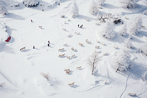 东北雪乡哈尔滨雪景素材