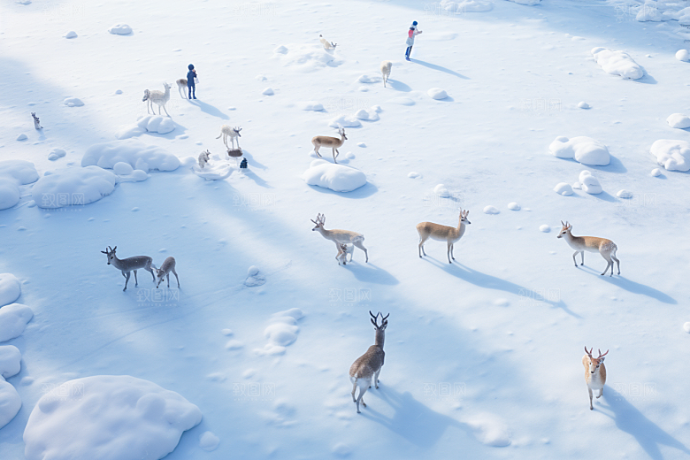 东北雪乡旅游哈尔滨素材