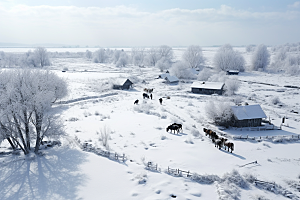 东北雪乡风光高清素材