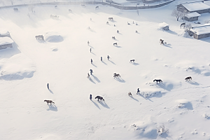 东北雪乡高清雪景素材