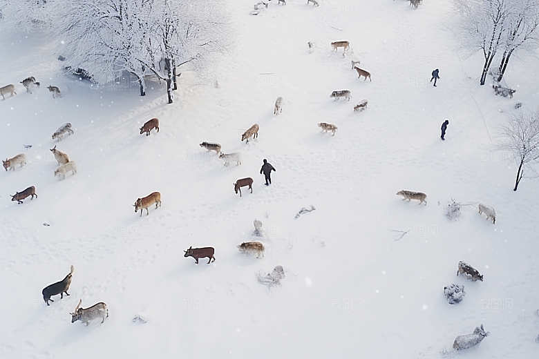 东北雪乡景区风光素材
