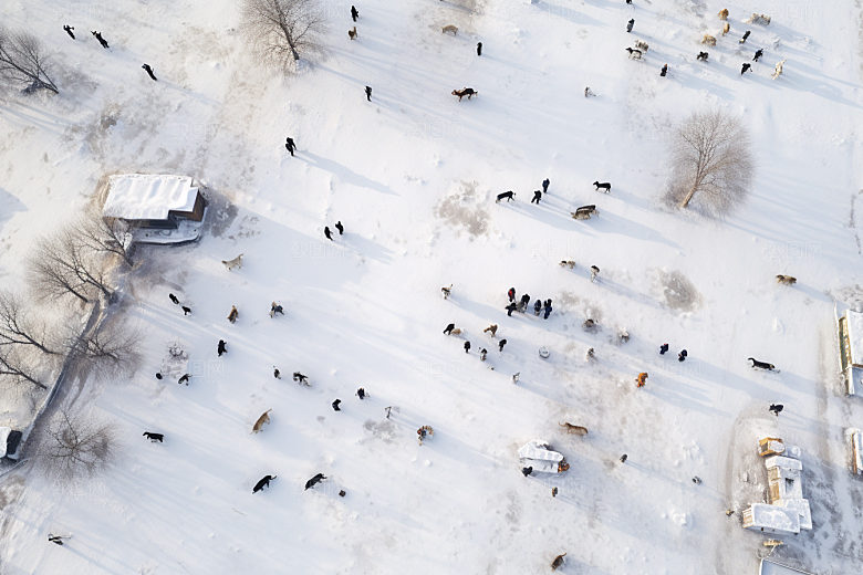 东北雪乡北方大雪素材