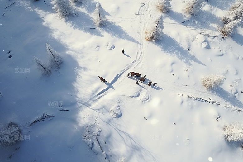 东北雪乡高清雪景素材