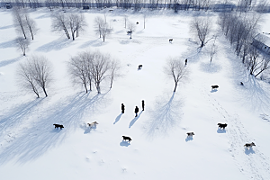 东北雪乡雪景大雪素材