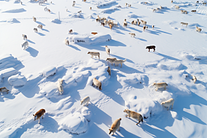 东北雪乡高清风光素材