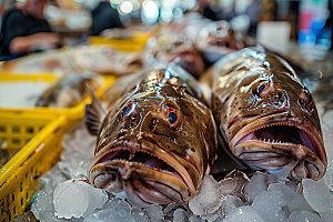 鳕鱼海产自然素材