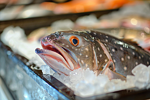 鳕鱼海鱼美食素材