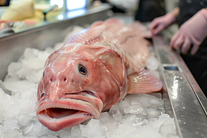 鳕鱼海鱼美食摄影图