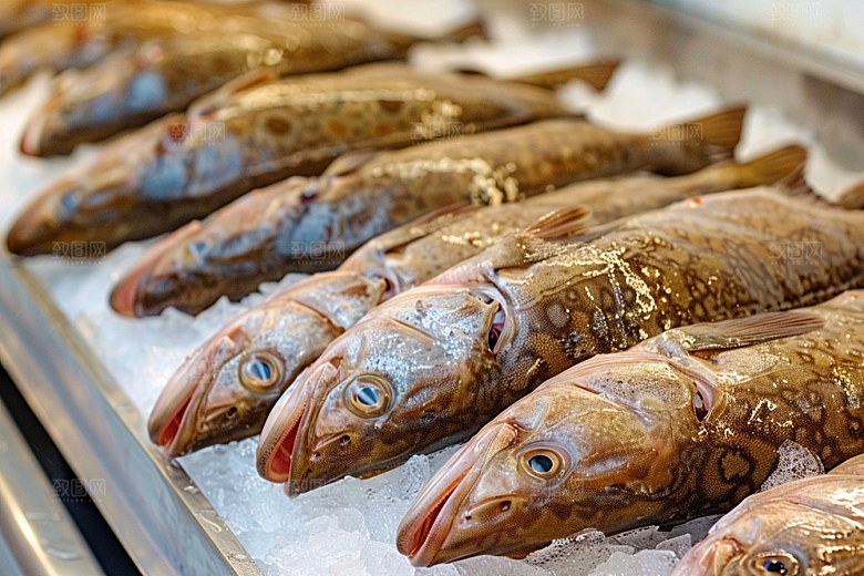 鳕鱼海鱼美食摄影图