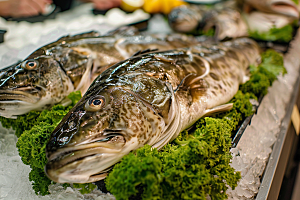 鳕鱼海鲜鱼类摄影图