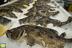 鳕鱼美食海鱼摄影图
